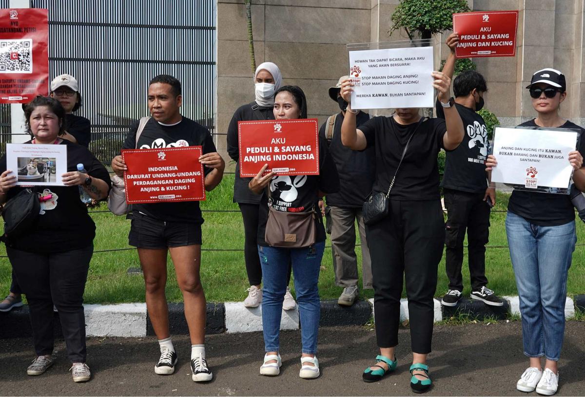 Aktivis Hewan Luapkan Kekecewaan RUU Perlindungan Anjing-Kucing Gagal Masuk RUU Prolegnas