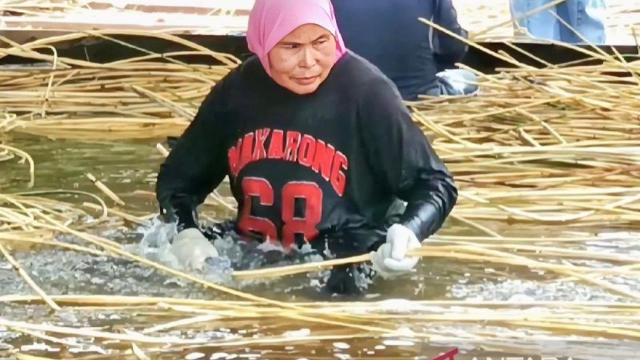 Harga Rotan di Kotim Melonjak Awal 2026, Fenomena Musim Durian Jadi Pemicu Utama