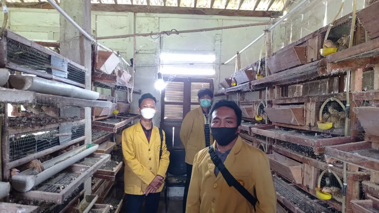 Mahasiswa Unsoed, Purwokerto menciptakan alat untuk menyesuaikan suhu di kandang ternak puyuh secara otomatis. (Liputan.com/Unsoed)