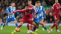 Prediksi Brighton vs Liverpool: The Reds Bidik Hattrick