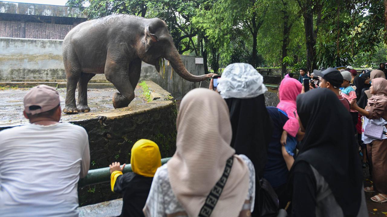 Ribuan Pengunjung Padati Kebun Binatang Ragunan Jakarta
