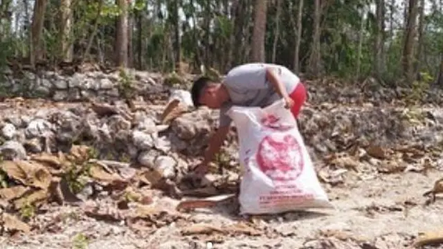 Agar Tetap Bisa Sekolah, Kisah Bocah Jual Daun Kering Rp 400 Per Kilogram Ini Bikin Terharu