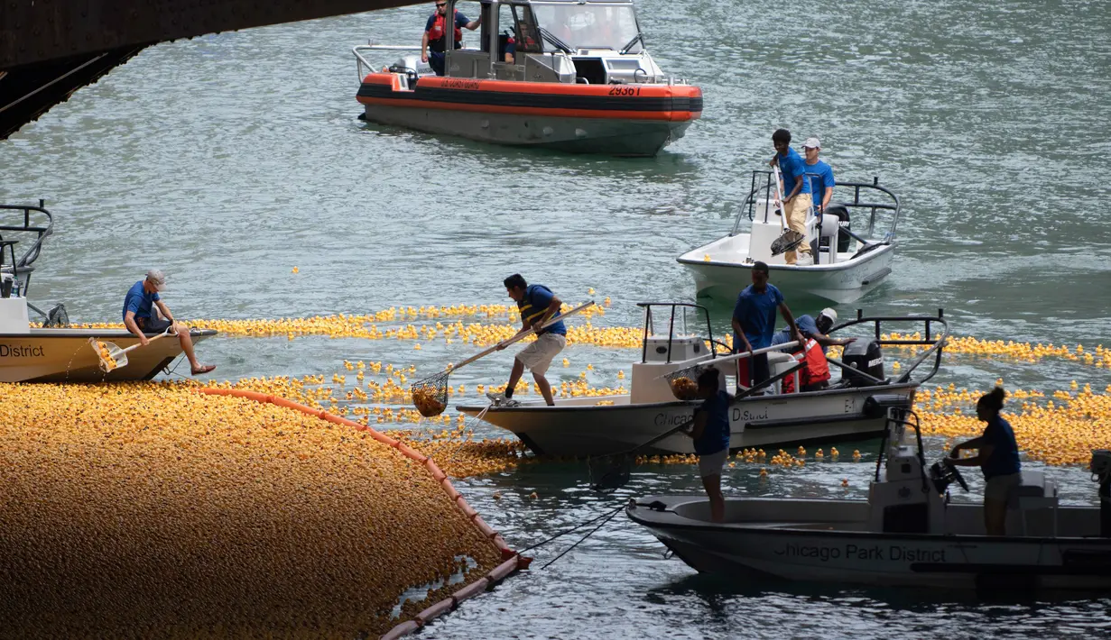 Para relawan mengumpulkan bebek karet yang dilemparkan ke sungai Chicago, pusat kota Chicago, Kamis (9/8). Lebih dari 50.000 bebek karet dilombakan di Sungai Chicago sebagai bagian dari acara amal Windy City Rubber Ducky Derby. (AP Photo/Annie Rice)