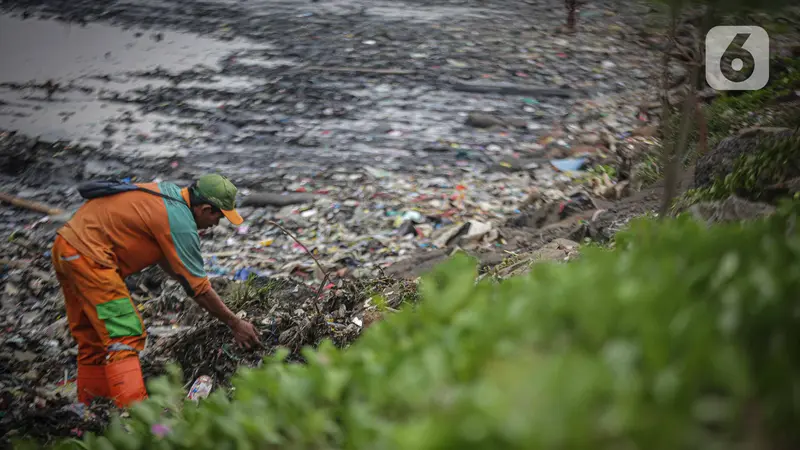 Ironi Hari Laut Sedunia, Sampah Plastik Penuhi Pesisir Utara Kota Jakarta