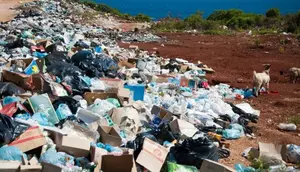 17 Kota Dibidik Punya Fasilitas Pengolahan Sampah Jadi Energi