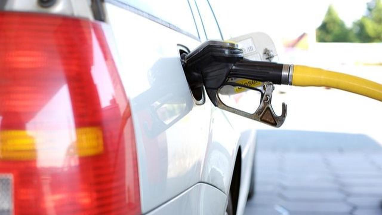 Tujuan Hari Kemerdekaan Energi Sedunia
