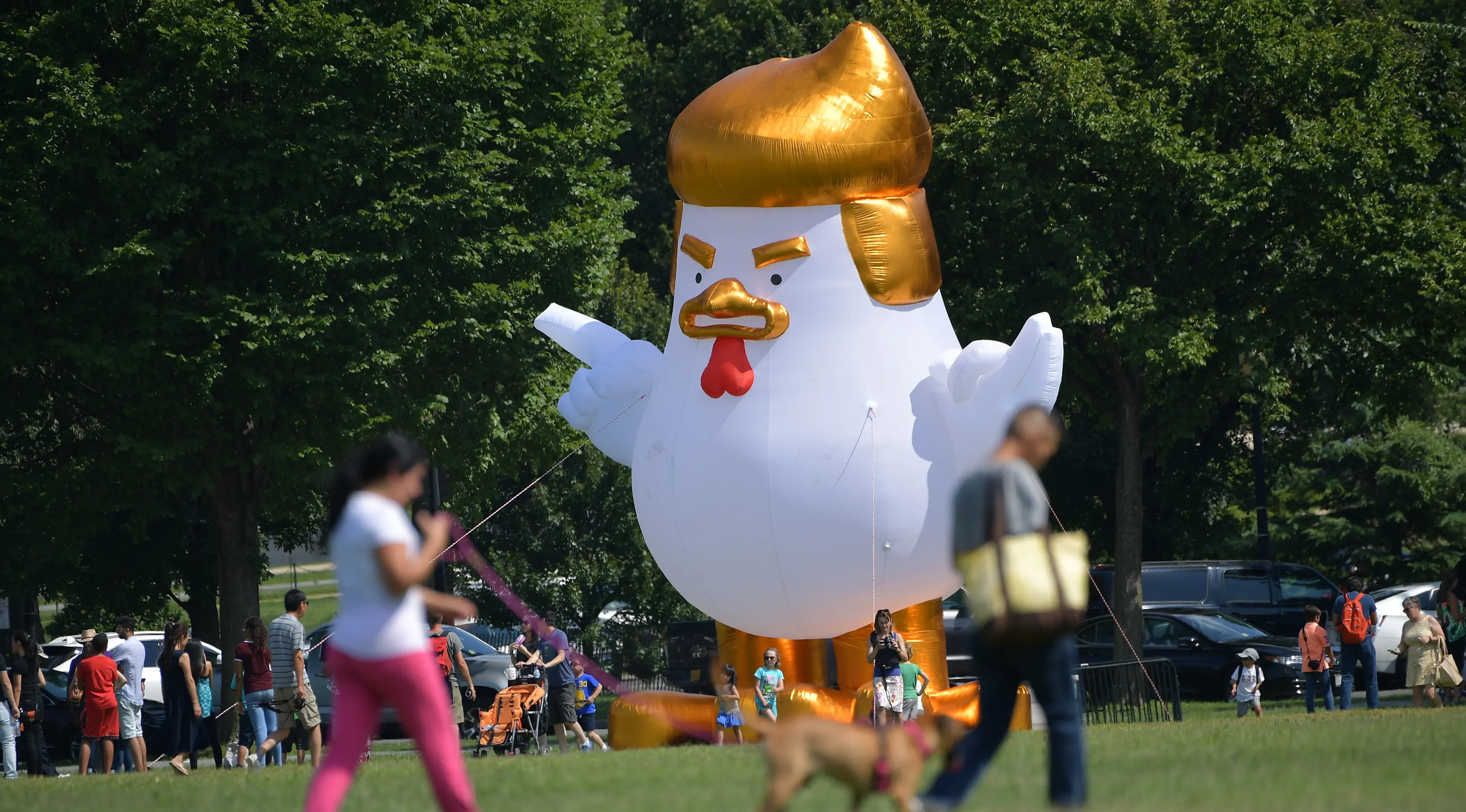 Wisatawan melewati balon raksasa berbentuk ayam dengan rambut seperti Donald Trump di sebuah taman di belakang Gedung Putih, 9 Agustus 2017. Pemandangan langka balon ayam raksasa berukuran 23 kaki itu dengan cepat menarik perhatian. (Mandel NGAN/AFP)