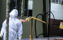 Heboh Virus Nipah, Kemenkes Petakan Wilayah Banyak Kelelawar