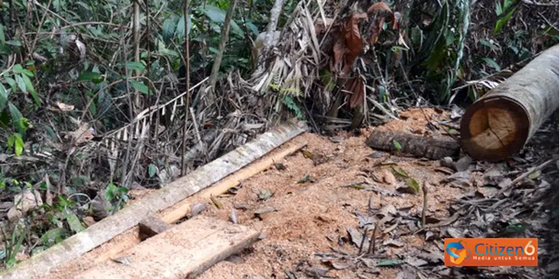 Ketika Bukit Barisan Menanggis