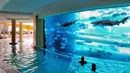  Bagaimana bila anda berenang dengan ditemani hewan - hewan buas yang ada di lautan?. Nah di salah satu Hotel di Las Vegas menyediakan pengalaman tersebut. (shechive.files.wordpress.com)