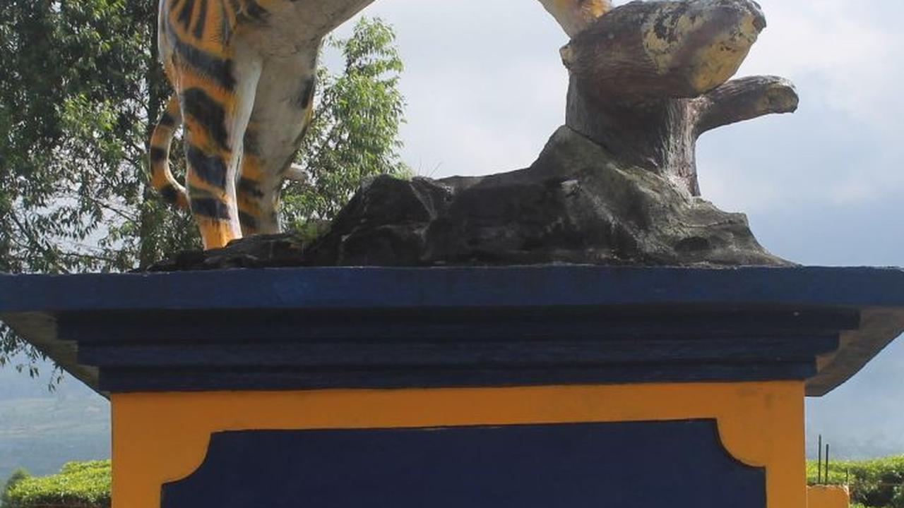 Viral Balita Diajak Mendaki Gunung Kerinci Saat Kabut Tebal, Ini Penjelasan Pengelola