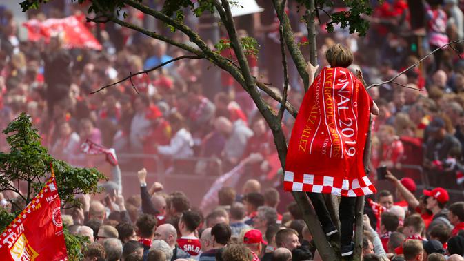 Seorang suporter menaiki pohon menyambut kedatangan pemain Liverpool saat parade juara Liga Champions di Liverpool, Inggris (2/6/2019). Ini merupakan gelar Liga Champions ke-6 Liverpool. (Richard Sellers/PA via AP)