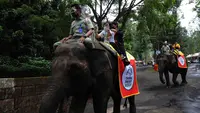 Top 3 Berita Hari Ini: Atraksi Gajah Tunggang Resmi Dilarang di Seluruh Wilayah Indonesia