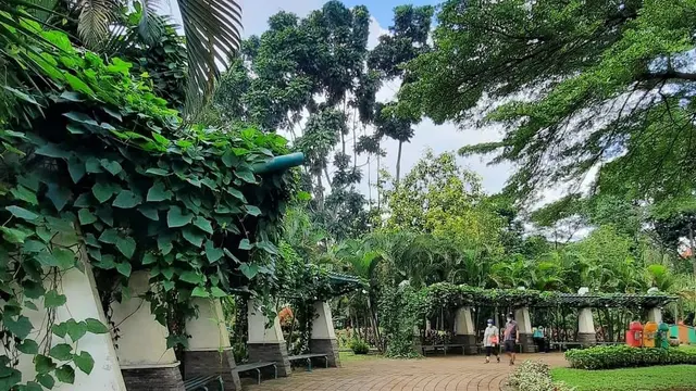 Taman Tabebuya
