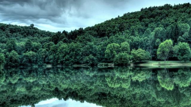 10 Negara dengan Kawasan Hutan atau Tanah Terbesar, Indonesia?