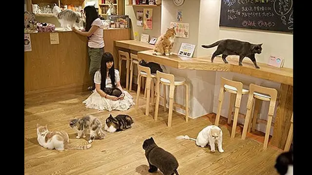 (c) twistedsifter.com