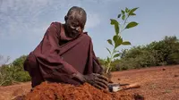 Tidak seperti orang lain yang berkoar-koar ingin melakukan perubahan, pria tua ini mengubah gurun jadi hutan dengan kegigihannya