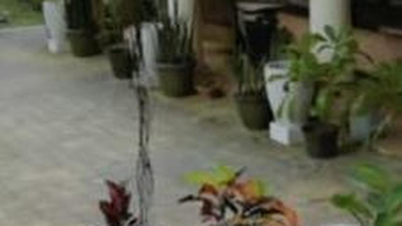 Mengunjungi The Lodjie Marong Kertek, Bangunan Peninggalan Marinir Amerika yang Cocok untuk "Garden Party"