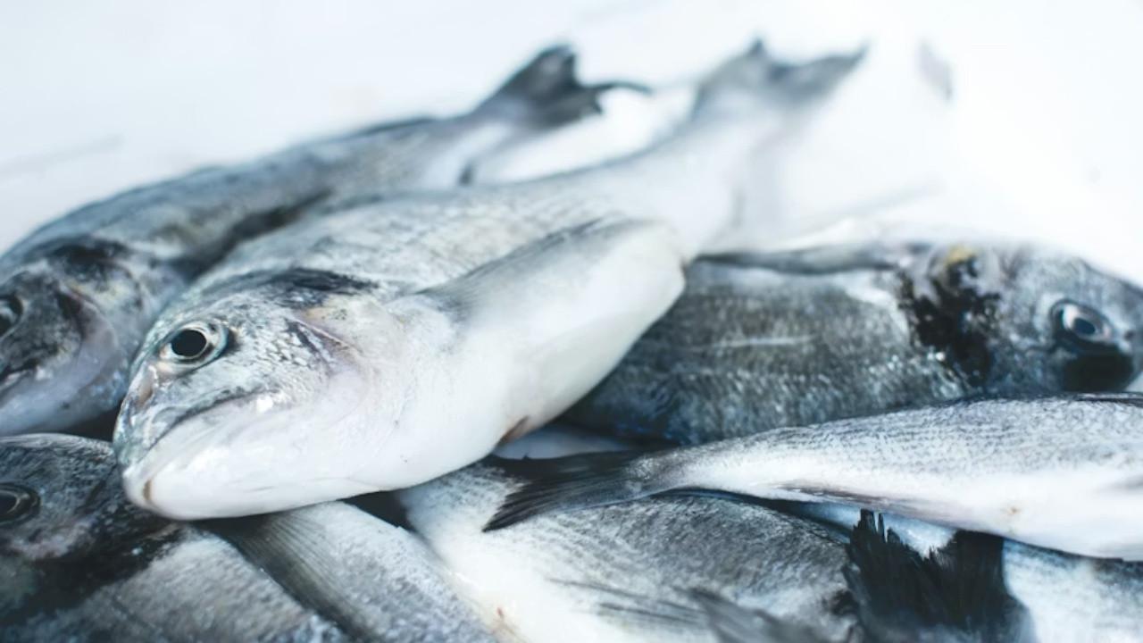 7 Cara Membersihkan Ikan Laut agar Tidak Bau Tanpa Perlu Bahan Mahal, Praktis dan Sat Set