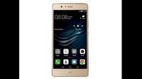 Pihak Huawei mengumumkan bahwa P9 Lite akan dirilis di Eropa pada bulan depan (Foto: via Phone Arena)