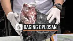oplosan thumbnail