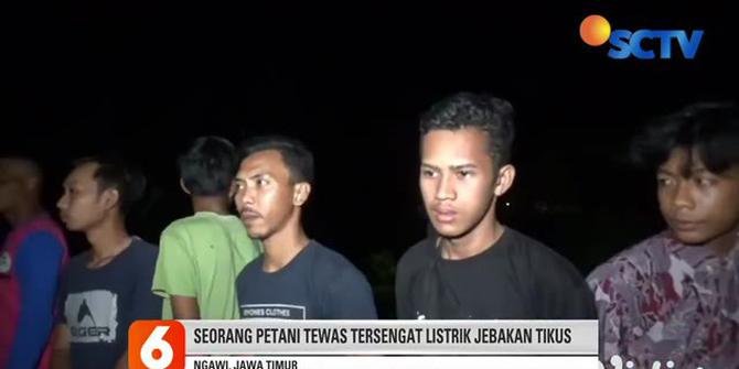 VIDEO: Petani di Ngawi Tewas Tersengat Listrik Jebakan Tikus di Sawahnya