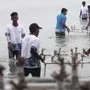Pemulihan Ekosistem Laut untuk Perkuat Ekonomi Masyarakat Pesisir