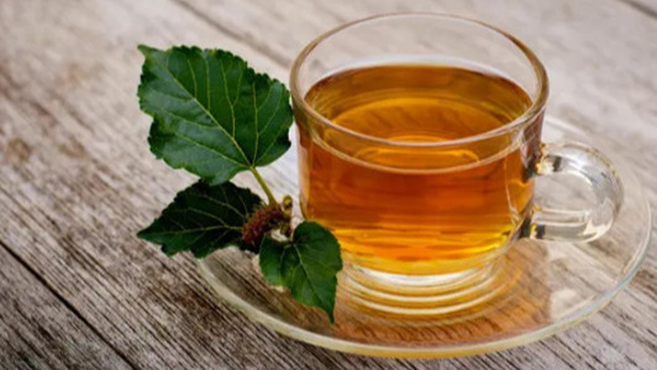 Teh Daun Murbei: Tips Menyimpan