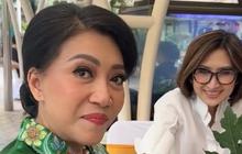 Putri Jenderal Intel Bagikan Tips Cara Alami Mengusir Lalat, Dijamin Ampuh