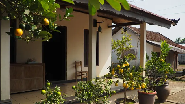 Ide Rumah Sederhana Sejuk di Desa dengan Pohon Buah (AI)