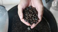 Coffee Roaster menunjukkan biji kopi robusta yang telah disangrai atau diroasting di Mula Kopi Nusantara, BSD, Tangerang Selatan,  Selasa (25/02/2020). Proses roasting akan mengalami perubahan mulai dari pengurangan kadar air,  berat dan ukuran hingga perubahan warna. (Liputan6.com/Fery Pradolo)