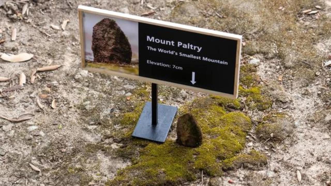 Viral Mount Paltry Disebut Gunung Terkecil di Dunia dengan Tinggi 7 Cm, Ketahui Fakta Sesungguhnya