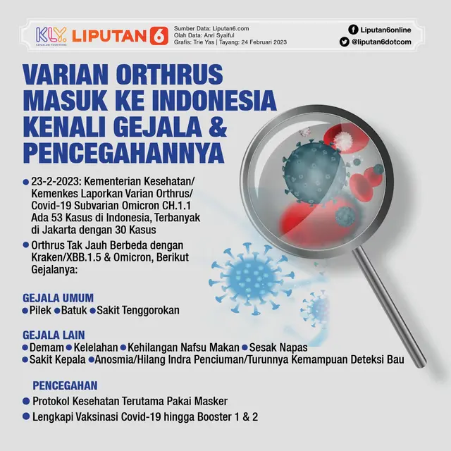 Infografis Varian Orthrus Masuk ke Indonesia, Kenali Gejala dan Pencegahannya. (Liputan6.com/Trieyasni)