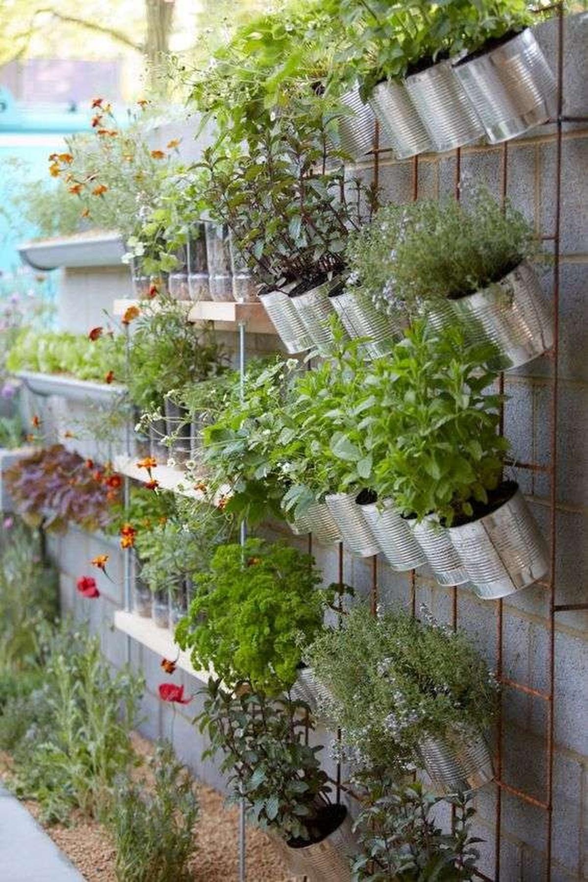 Desain Vertical Garden Minimalis