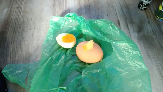 Telur Palsu