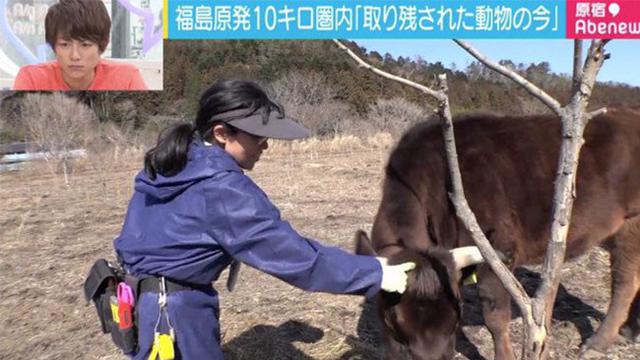 Karena Cinta Dengan Hewan, Wanita Ini Rela Tembus Zona Radioaktif Setiap Harinya