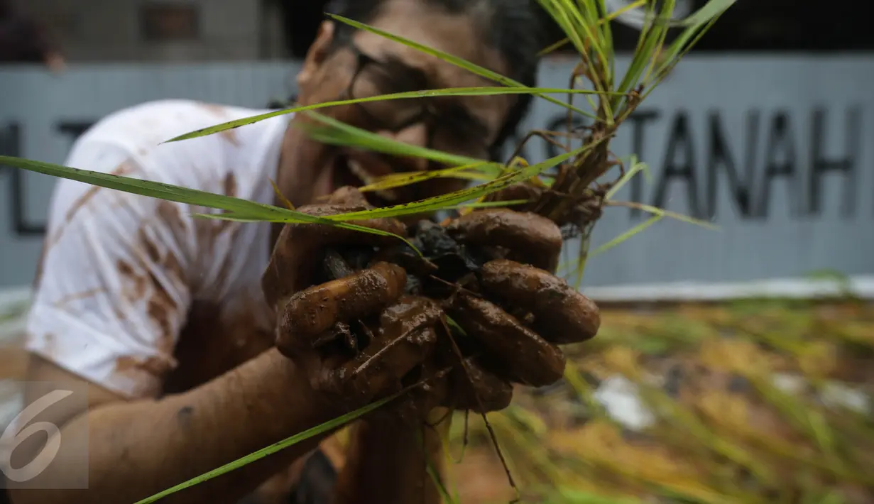 Seorang petani saat menggelar aksi menanam padi di depan Kedubes Jepang, Jakarta, Senin (5/12). Dalam aksinya, mereka menuntut ganti rugi paska penutupan akses lahan pertanian mereka karena pembangunan PLTU batu bara Batang. (Liputan6.com/Faizal Fanani)