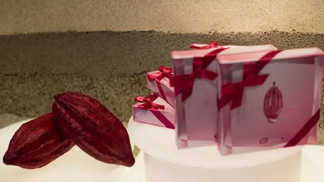 Cokelat Rubi di Jepang