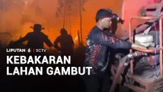 Hutan dan lahan gambut di Kilometer Empat, Kabupaten Kotawaringin Timur, Kalimantan Tengah, terbakar. Kebakaran meluas hingga mendekati permukiman.