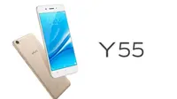 Harga Vivo Y55 Terbaru, Smartphone dengan Fitur-fitur Canggih nan Kece