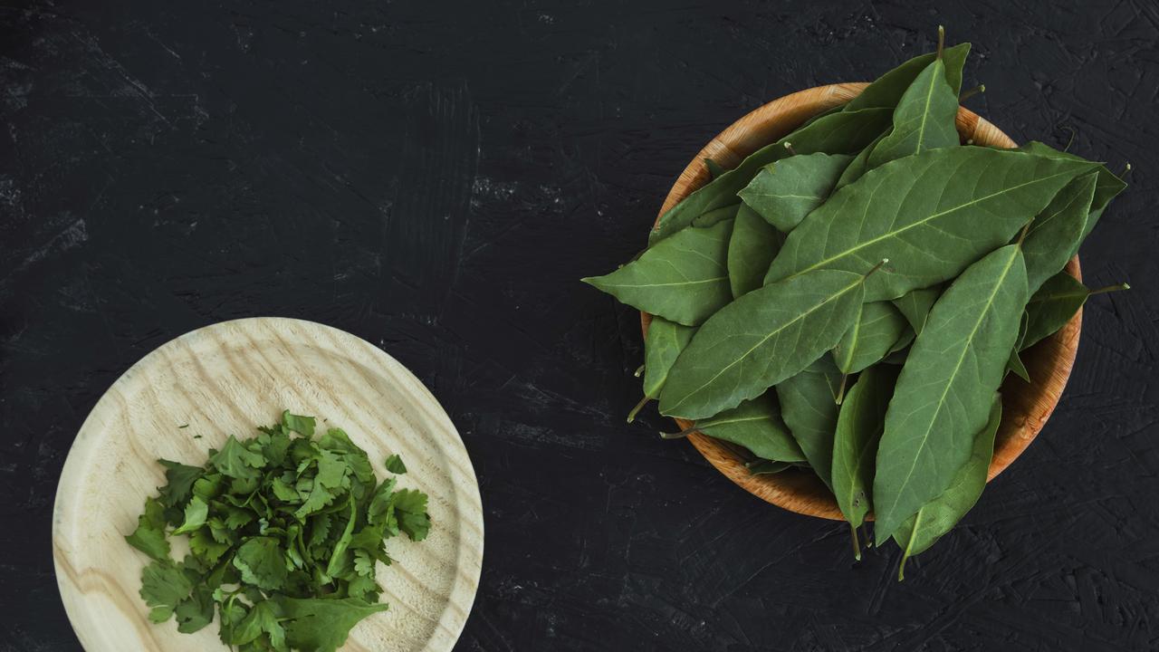 Ilustrasi Daun Salam