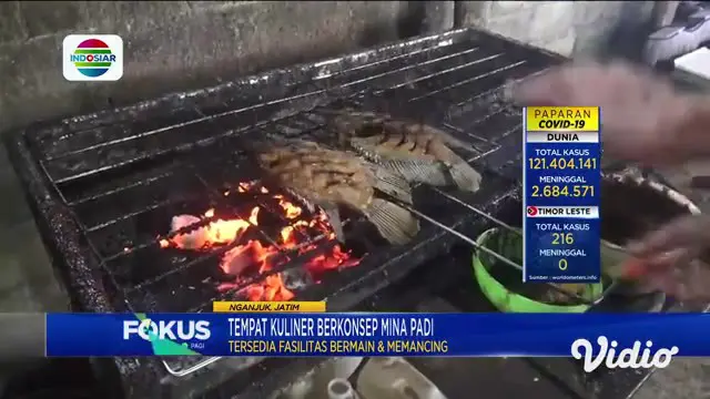 Di Nganjuk, Jawa Timur, terdapat rumah makan yang unik dengan konsep mina padi. Berada di Desa Cerme, Kecamatan Pace, lokasi rumah makan milik Mujiharto ini tak sulit ditemukan. Pengunjung bisa memancing ikan yang ditebar di antara tanaman padi.