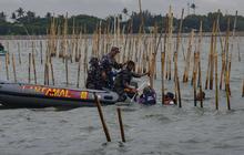 FOTO: Aksi Ribuan Pasukan TNI AL dan Nelayan Bersatu Bongkar Pagar Laut Misterius di Tangerang