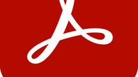 Adobe Reader - Adobe Inc., Public domain, via Wikimedia Commons