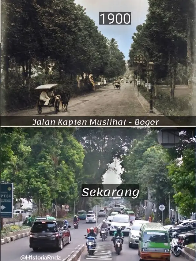 9 Potret Perbandingan Suasana Bogor Tempo Dulu dan Sekarang, Kota Hujan yang Selalu Hijau
