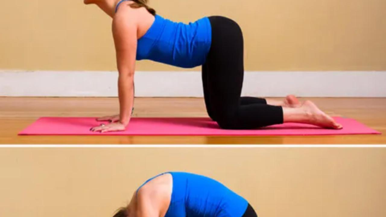 Pose Marjariasana-Bitilasana (Cat-Cow Pose)