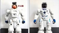 Organoid otak manusia yang dihubungkan ke chip komputer kini dapat belajar mengendalikan robot berkat antarmuka biokomputasi baru. Catatan: gambar di atas hanya untuk demonstrasi, tetapi teknologinya ada. Sumber: Universitas Tianjin