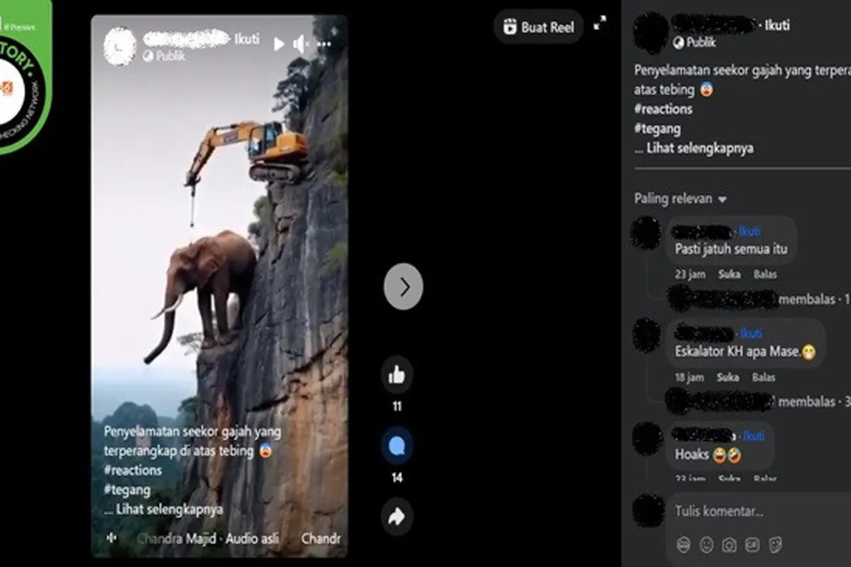 Gambar tangkapan layar video yang diklaim penyelamatan seekor gajah dari atas tebing. (sumber: Facebook)