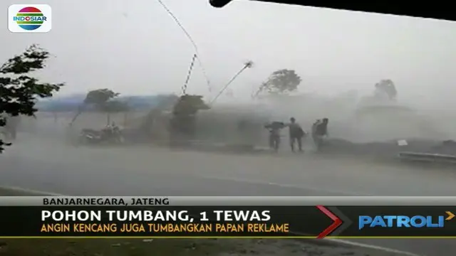Pohon Beringin Raksasa Tumbang, 1 Orang Tewas di Banjarnegara