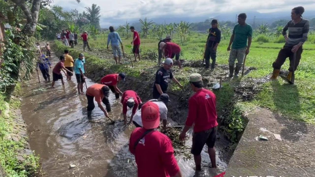 Ribuan Petani Bergerak Bersihkan Irigasi Soropadan, Jamin Ketahanan Pangan Temanggung-Magelang